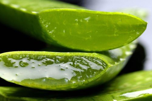 Impressum - Kraft der Aloe Vera